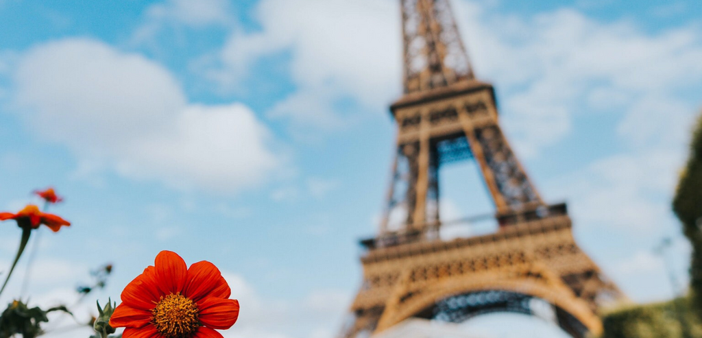 LE MADE IN FRANCE, c'est quoi ?